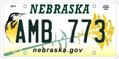 NE license plate AMB773