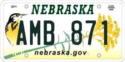 NE license plate AMB871