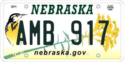 NE license plate AMB917