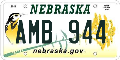 NE license plate AMB944