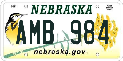 NE license plate AMB984