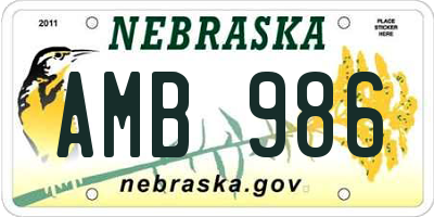 NE license plate AMB986