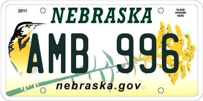 NE license plate AMB996