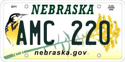 NE license plate AMC220