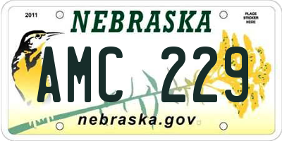 NE license plate AMC229