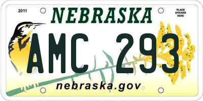 NE license plate AMC293