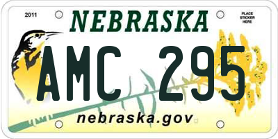 NE license plate AMC295