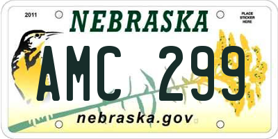 NE license plate AMC299