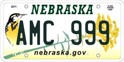NE license plate AMC999