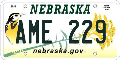 NE license plate AME229