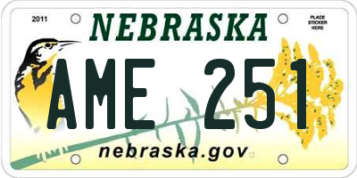 NE license plate AME251