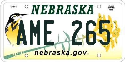 NE license plate AME265