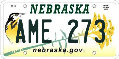 NE license plate AME273