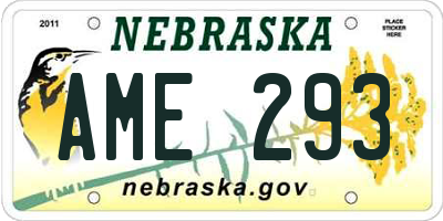 NE license plate AME293