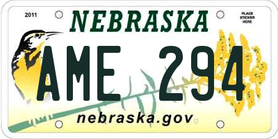 NE license plate AME294