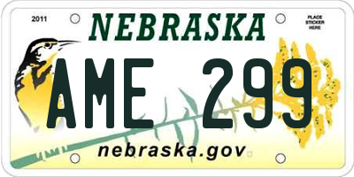 NE license plate AME299