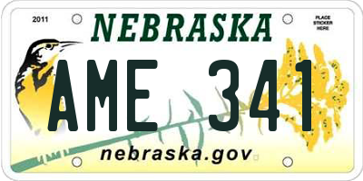NE license plate AME341