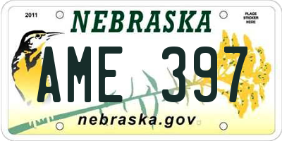 NE license plate AME397