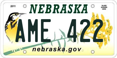 NE license plate AME422