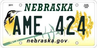 NE license plate AME424