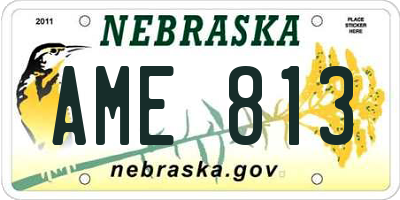 NE license plate AME813