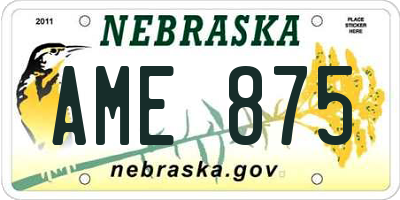 NE license plate AME875