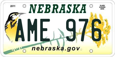 NE license plate AME976