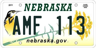 NE license plate AMF113