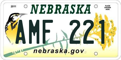 NE license plate AMF221
