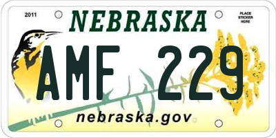 NE license plate AMF229