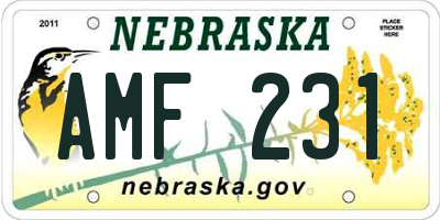 NE license plate AMF231
