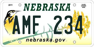 NE license plate AMF234