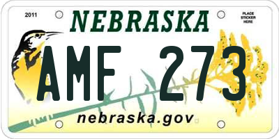 NE license plate AMF273