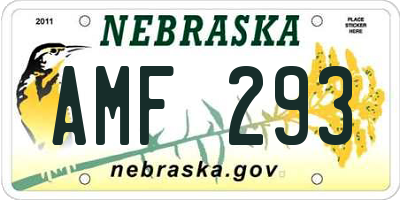 NE license plate AMF293