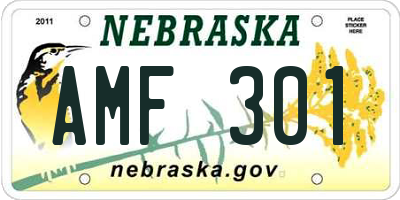 NE license plate AMF301