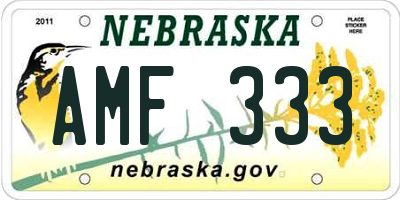 NE license plate AMF333