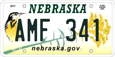 NE license plate AMF341