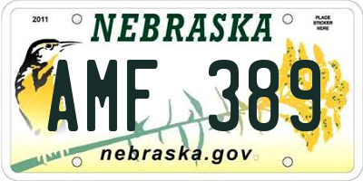 NE license plate AMF389