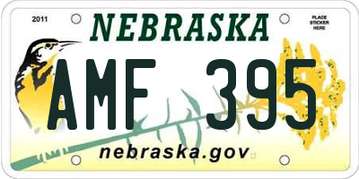 NE license plate AMF395