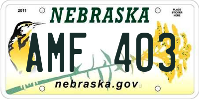 NE license plate AMF403