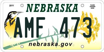 NE license plate AMF473