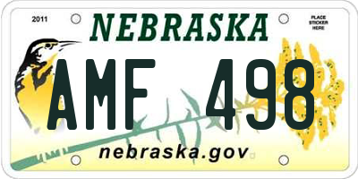 NE license plate AMF498
