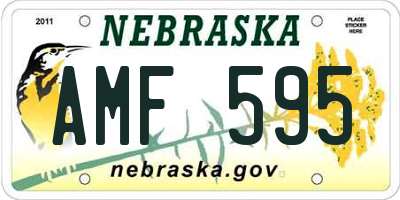 NE license plate AMF595
