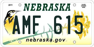 NE license plate AMF615