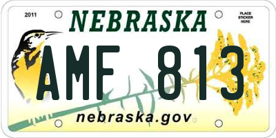 NE license plate AMF813