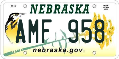 NE license plate AMF958