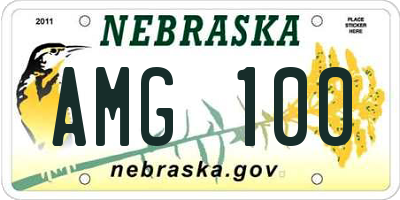 NE license plate AMG100