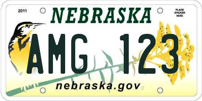 NE license plate AMG123