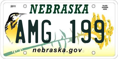 NE license plate AMG199