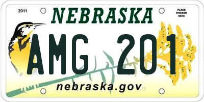 NE license plate AMG201